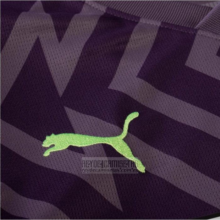 Camiseta De Futbol Borussia Dortmund Portero 2023-2024 Purpura